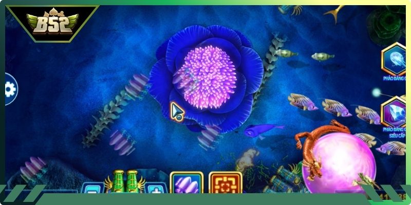 Quan sát di chuyển của boss